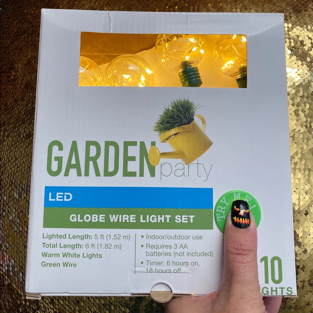 Garden Party Globe Wire 10ct LED Lights Warm White